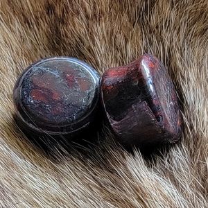 Dragon Blood Jasper Plugs 15mm